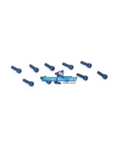 Tornillos 4-40 x 3/8 (10 Uds.) Team Losi LOSA6206 - Team Losi 8IGHT 2.0 & 8IGHT 2.0 EU - Repuesto y opciones