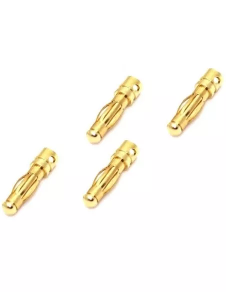 Gold Banana Plug - 4.0mm Male (4 U.) Fussion FS-00073 - R/C Plugs