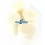 Mousses de filtre a air ovale ( U.) HT-500235 Hobbytech Spirit / NXT HT-501227-4
