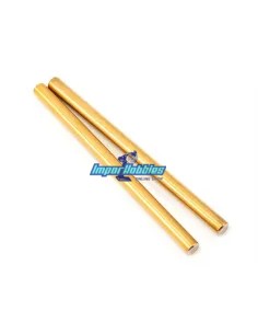 Axes de triangles inferieurs avant TiN (2 U.) Team Associated RC8.2 / RC8.2e AS89553 - Team Associated RC8.2 Factory Kit - Pièce