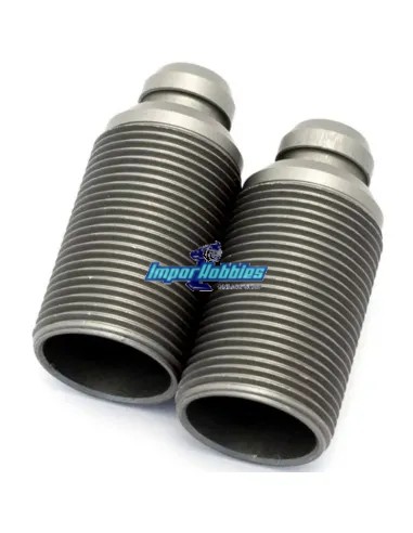 Cuerpos de amortiguador delanteros Hobbytech BXR S1 REV-BX029