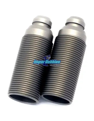 Cuerpos de amortiguador traseros...