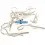 Clip de carrosserie 1/8eme universels (10 U.) Fussion FS-WD020