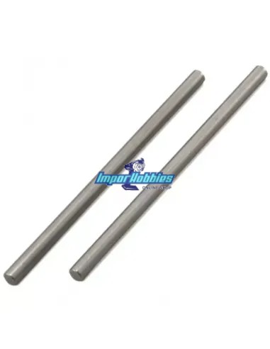 Pasadores inferiores trapecios traseros (2 Uds.) Kyosho FW-06 / V-One VZ018 - Kyosho FW-05 & FW-06 - Repuesto y opciones