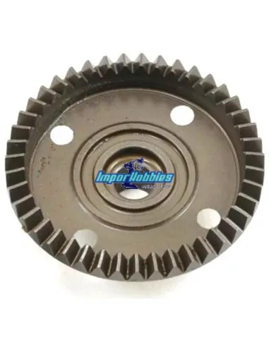 Corona cónica 43T Hot Bodies D819 / D819RS / D8 WS / E8 WS 204583