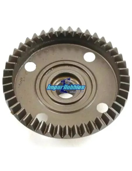 Corona cónica 43T Hot Bodies D819 / D819RS / D8 WS / E8 WS 204583