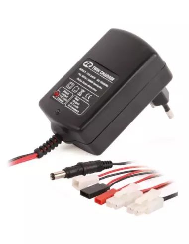 Universal charger double output NiMh / NiCd 220V R01002 - RC Car