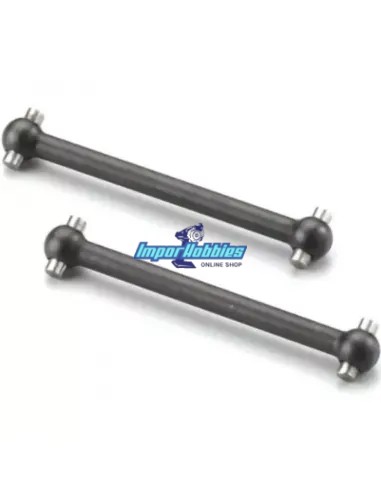 Palieres (2 Uds.) Kyosho SandMaster / Nexxt / Axxe / Monster Tracker EZ018 - EZ218