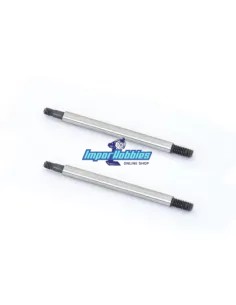 Rear Shock Shaft (2 U.) Hobbytech Survolt / Revolt / BXR S1 REV-012 - Hobbytech Revolt / Survolt BX10 - Spare Parts & Option Par