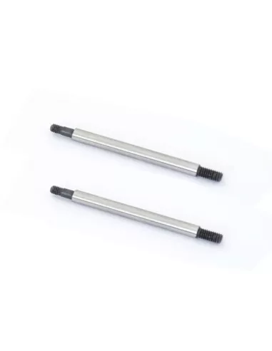 Rear Shock Shaft (2 U.) Hobbytech Survolt / Revolt / BXR S1 REV-012 - Hobbytech Revolt / Survolt BX10 - Spare Parts & Option Par