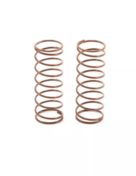 Front Shock Spring Set  - Brown 2.8lb (2 U.) Team Associated B4 / B44 AS6493 - Team Associated B4 / T4 - Spare Parts & Option Pa