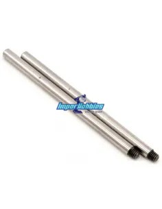 Front/Rear Lower Arm Hinge Pin Set (2 U.) Sworkz BK1 SW-330103 - SWorkz S350 BK1/BE1/BX1