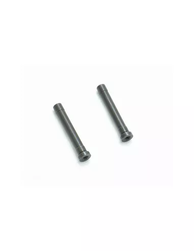 Servo Saver Shaft (2 U.) Hobbytech STR8 / Spirit / EP X2 / NXT STR-021 - Hobbytech STR8 DeLuxe & STR8 EVO RTR - Spare Parts & Op