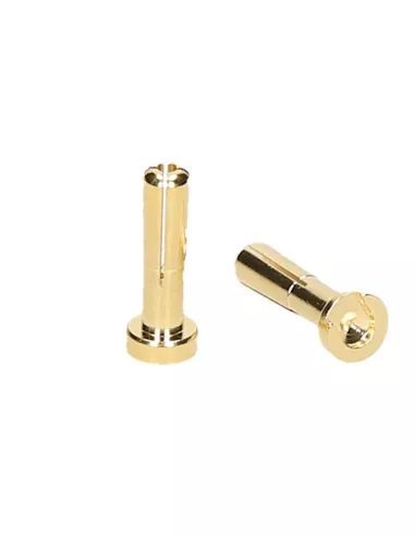 5mm Gold Connector Male - Low Profile (2 U.) Team Orion ORI40056 - Clearances - Outlet