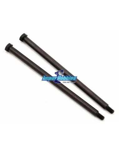 Pasadores internos trapecios - 109848 (2 Uds.) Hot Bodies D812 / D815 / D817 / E817 / D819 204028 - Hot Bodies E817 & E817 V2 El