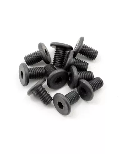 Pan Head Hex Screw 5x8mm (10 U.) Hot Bodies D815 / D817 / E817 / D819 100550 - Hot Bodies D817 & D817 V2 Nitro Kit - Spare Parts