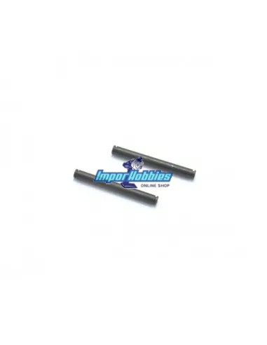 Pasadores externos trapecios traseros (2 Uds.) Hobbytech Spirit NXT STRX-312 - Hobbytech Spirit NXT GP / NXT GP 2.0 Nitro - Pièc
