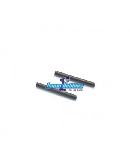 Pasadores externos trapecios traseros (2 Uds.) Hobbytech Spirit NXT STRX-312 - Hobbytech Spirit NXT GP / NXT GP 2.0 Nitro - Pièc