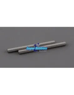 Front Lower Suspension Pin (2 U.) Hobbytech Survolt / Revolt REV-005 - Hobbytech Revolt / Survolt BX10 - Spare Parts & Option Pa