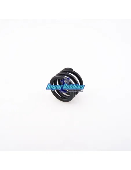 Ressort de sauve servo Hobbytech Revolt / ST10 / BXR S1 / BXR MT / BX8SL / DB8SL REV-034 - Hobbytech Revolt / Survolt BX10 - Piè