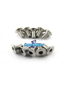 Stainless Steel Screws 3X6mm Conical Head (10 U.) Fussion FS-TFX3006