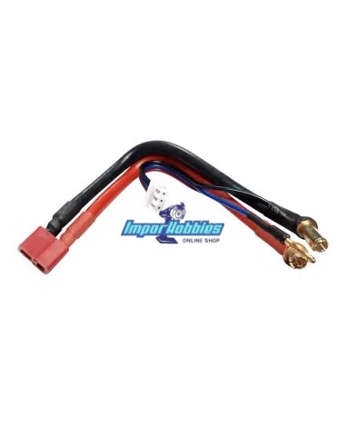 Cordon charge 10AWG T-Deans / Banane 5mm Lipo 2S connecteur équilibré XH Fussion FS-02077 - Cordon charge Pro AMP & Standard