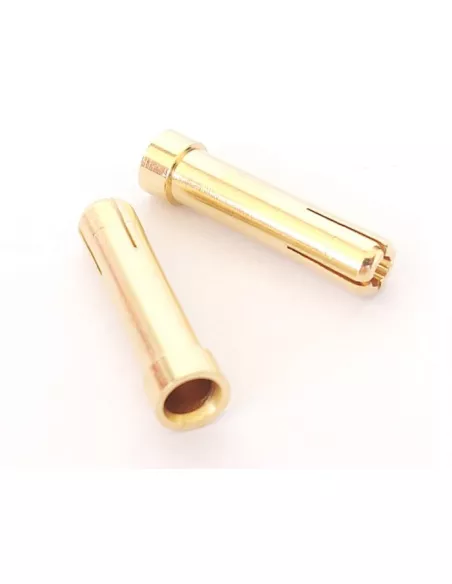 Gold Plug Adapter: 5mm Male to 4mm Female (4 U.) Fussion FS-01100 - R/C Plugs