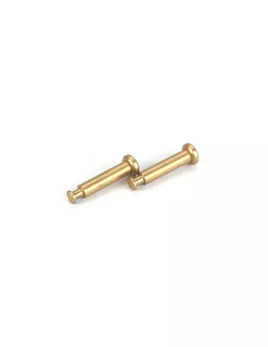 Hinge Pin Ti Set 4x21mm (2 U.) Team Losi 8ight 2.0 LOSA6501 - Team Losi 8IGHT 2.0 & 8IGHT 2.0 EU - Spare Parts & Option Parts