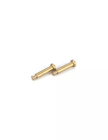 Hinge Pin Ti Set 4x21mm (2 U.) Team Losi 8ight 2.0 LOSA6501 - Team Losi 8IGHT 2.0 & 8IGHT 2.0 EU - Spare Parts & Option Parts